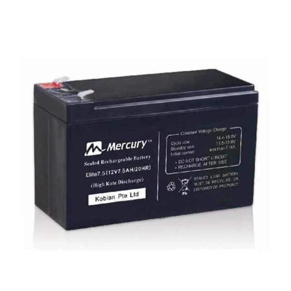 UPS Battery (Mercury)