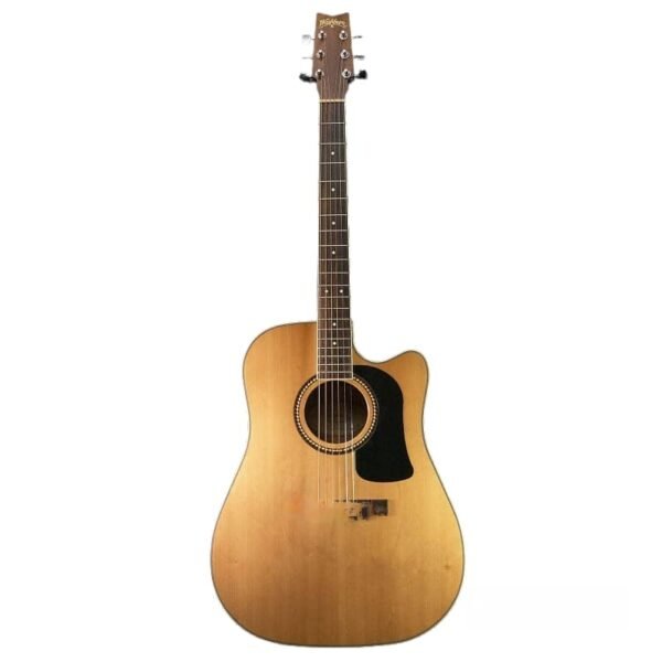 Acoustic-Electric Guitar