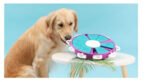Dog Puzzle Toys Increase IQ Interactive Puppy Dog Food Dispenser Pet Dogs Training Games Feeder For Puppy Medium Dog Bowl Dog Puzzle Toys Increase IQ Interactive Puppy Dog Food Dispenser P - Image 7