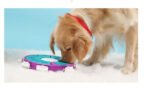 Dog Puzzle Toys Increase IQ Interactive Puppy Dog Food Dispenser Pet Dogs Training Games Feeder For Puppy Medium Dog Bowl Dog Puzzle Toys Increase IQ Interactive Puppy Dog Food Dispenser P - Image 6