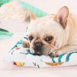 Ice pad pet cooling cooling nest mat - Image 4