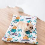 Ice pad pet cooling cooling nest mat