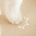 Oval Cat Scratch Pad Bowl Car Scratching Board Cat Nest Furniture Protector Cat Scratcher Cardboard Kitty Scratching Pad - Image 5